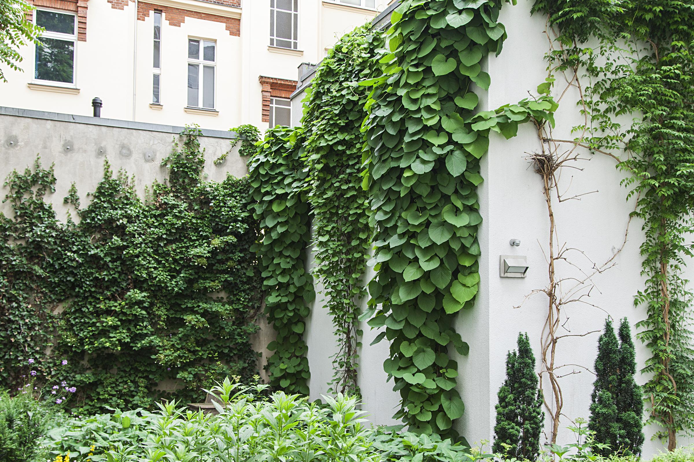 Quentin Design Hotel Berlijn